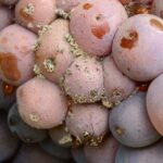 серая гниль на винограде