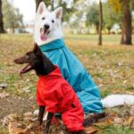 Дощовик для великої собаки