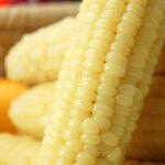 Чи можна їсти сиру кукурудзу: користь, шкода та вердикт дієтологів щодо вживання овочу без термічної обробки