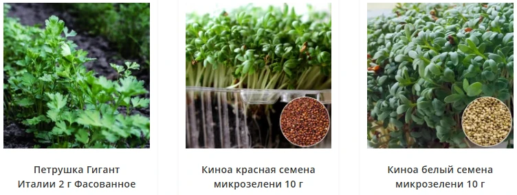 Микрозелень в Украине