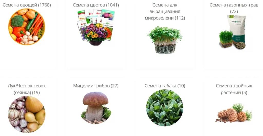 раздел семян
